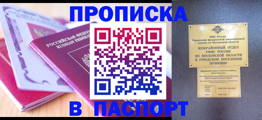 прописка законно в Сольцах